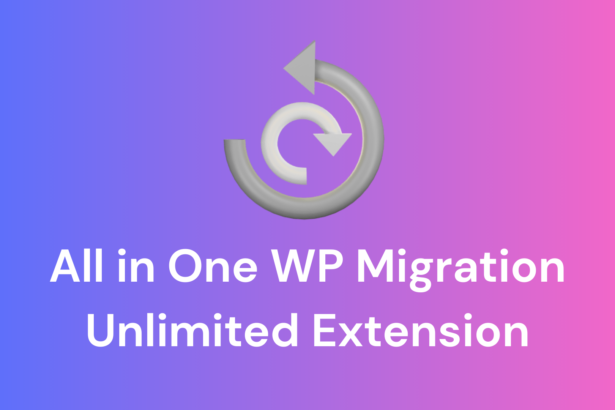 All in One WP Migration Unlimited Extension